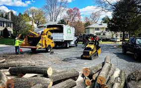 Artificial Turf Installation in Surf City, NJ