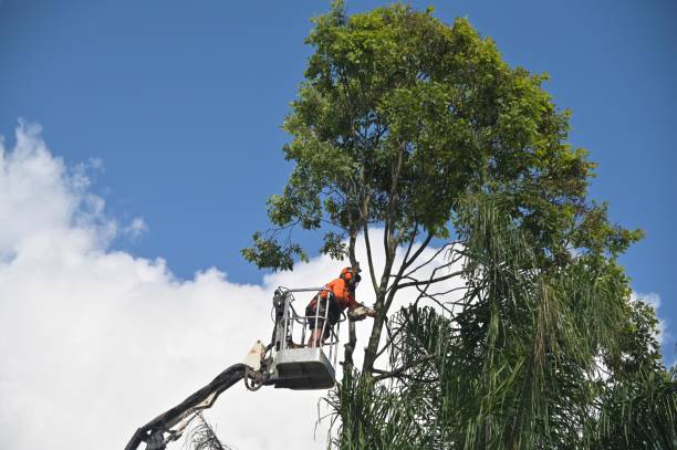 Landscape Design and Installation in Surf City, NJ